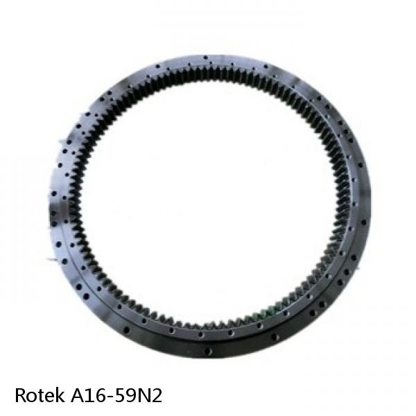 A16-59N2 Rotek Slewing Ring Bearings