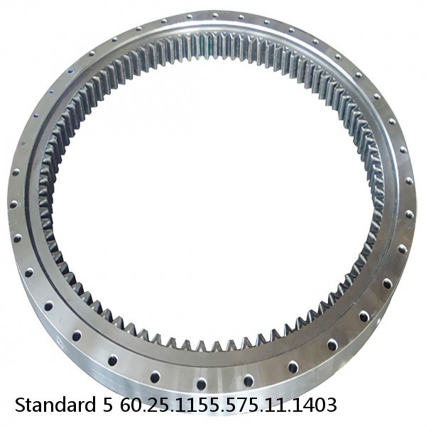 60.25.1155.575.11.1403 Standard 5 Slewing Ring Bearings