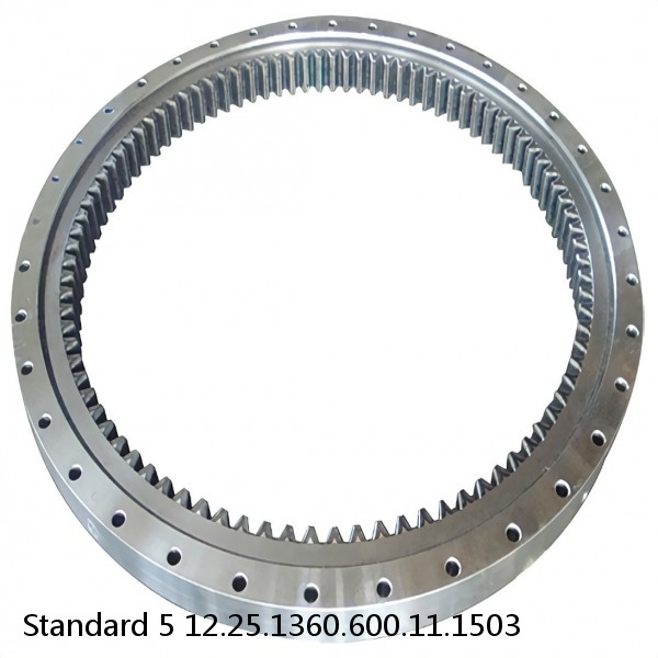 12.25.1360.600.11.1503 Standard 5 Slewing Ring Bearings