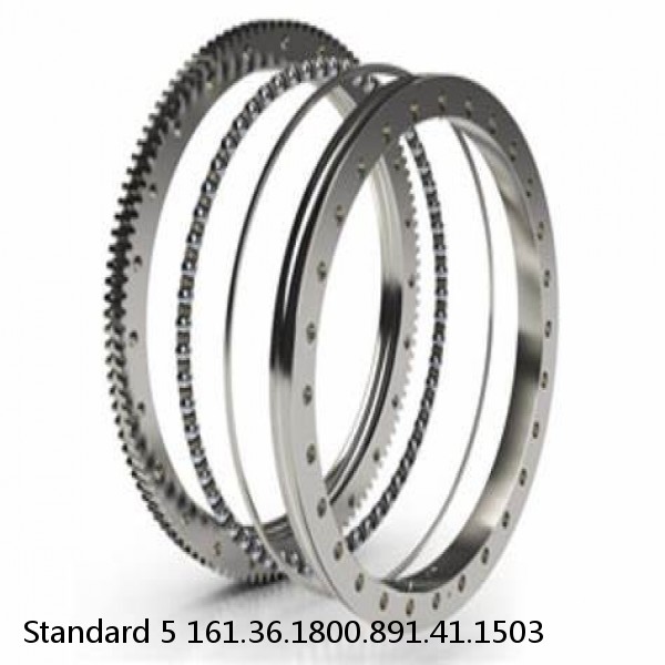 161.36.1800.891.41.1503 Standard 5 Slewing Ring Bearings