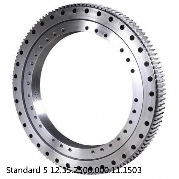 12.35.2500.000.11.1503 Standard 5 Slewing Ring Bearings