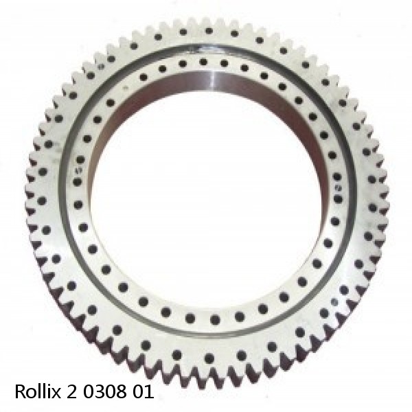 2 0308 01 Rollix Slewing Ring Bearings