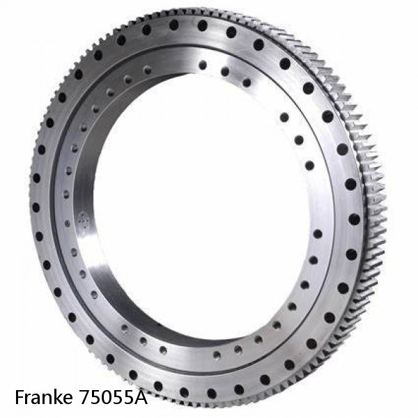 75055A Franke Slewing Ring Bearings