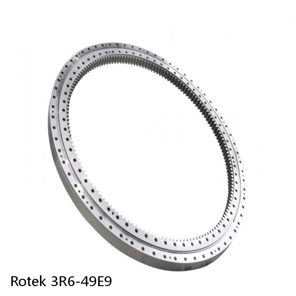 3R6-49E9 Rotek Slewing Ring Bearings