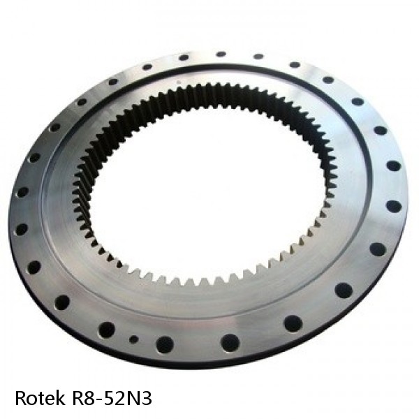 R8-52N3 Rotek Slewing Ring Bearings