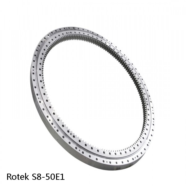 S8-50E1 Rotek Slewing Ring Bearings