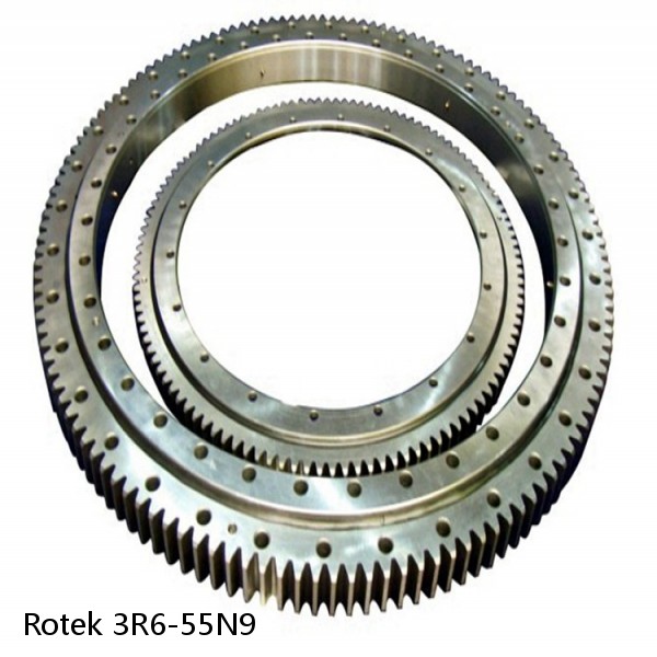 3R6-55N9 Rotek Slewing Ring Bearings