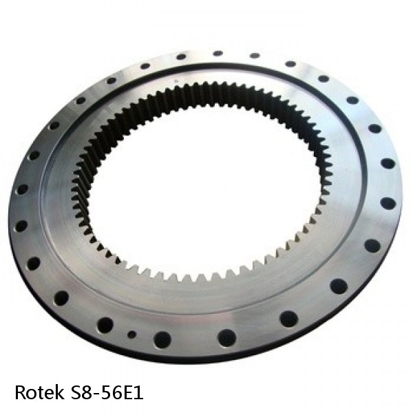 S8-56E1 Rotek Slewing Ring Bearings