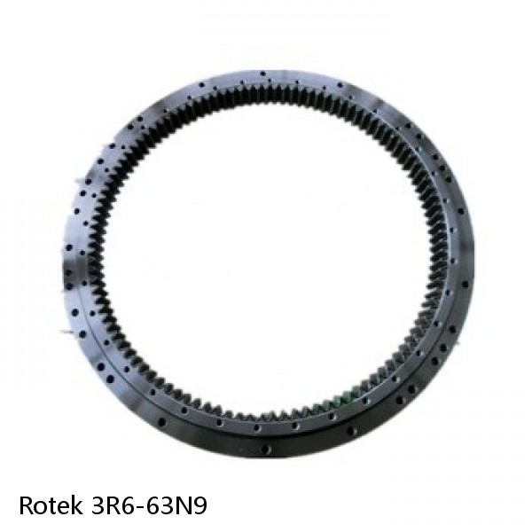 3R6-63N9 Rotek Slewing Ring Bearings