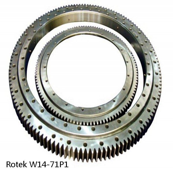 W14-71P1 Rotek Slewing Ring Bearings