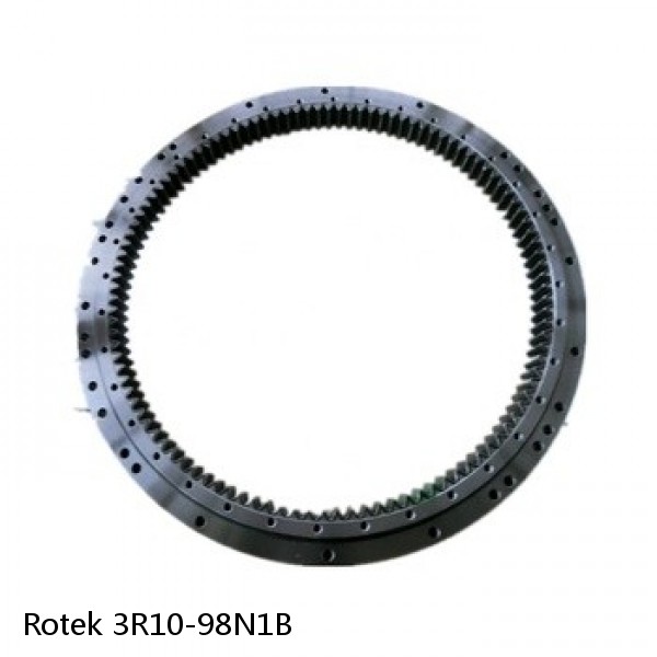 3R10-98N1B Rotek Slewing Ring Bearings