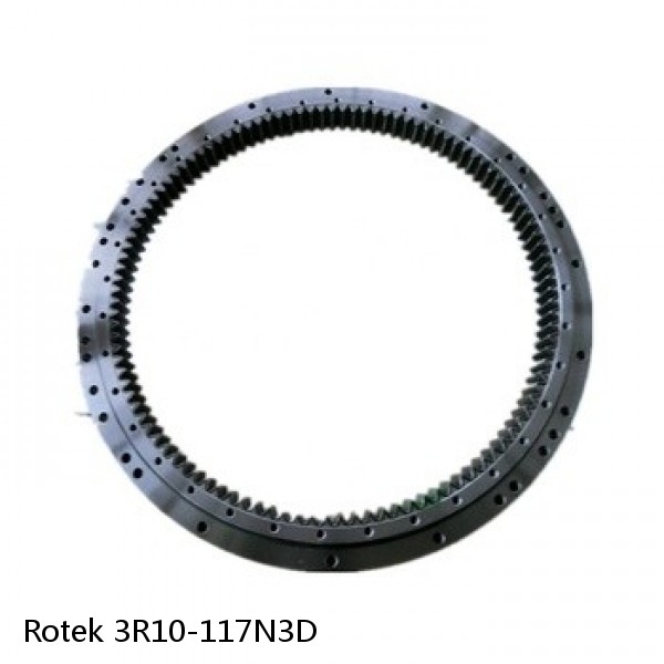 3R10-117N3D Rotek Slewing Ring Bearings