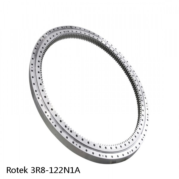 3R8-122N1A Rotek Slewing Ring Bearings