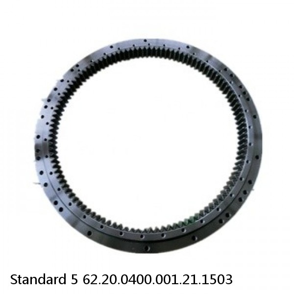 62.20.0400.001.21.1503 Standard 5 Slewing Ring Bearings