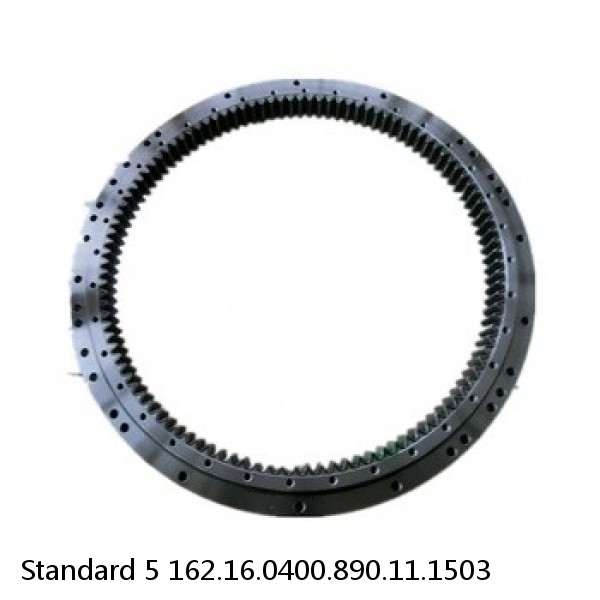 162.16.0400.890.11.1503 Standard 5 Slewing Ring Bearings