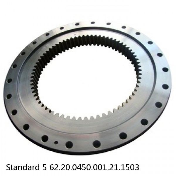 62.20.0450.001.21.1503 Standard 5 Slewing Ring Bearings