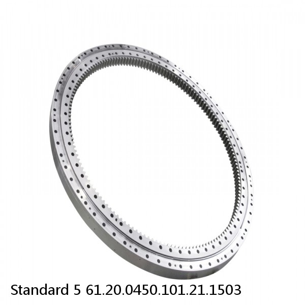 61.20.0450.101.21.1503 Standard 5 Slewing Ring Bearings