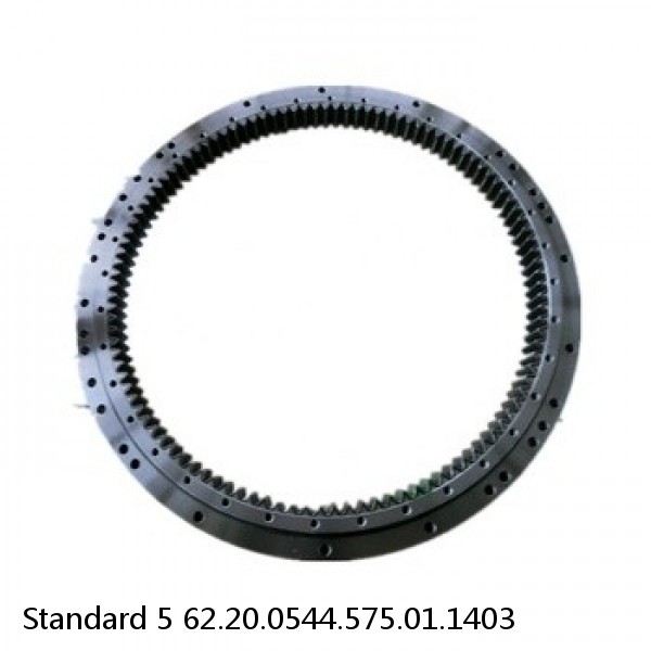 62.20.0544.575.01.1403 Standard 5 Slewing Ring Bearings