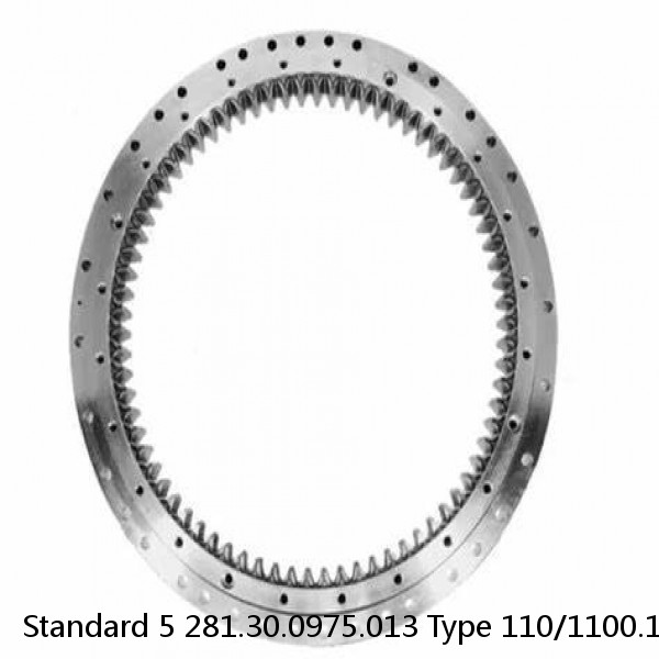 281.30.0975.013 Type 110/1100.1 Standard 5 Slewing Ring Bearings