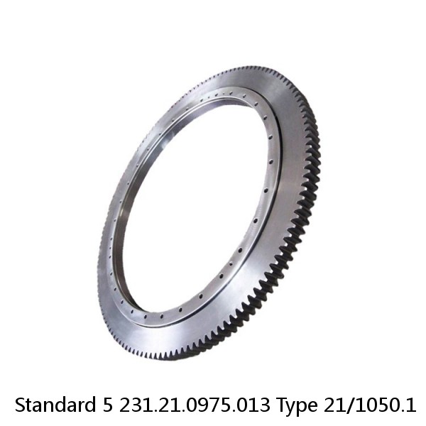 231.21.0975.013 Type 21/1050.1 Standard 5 Slewing Ring Bearings