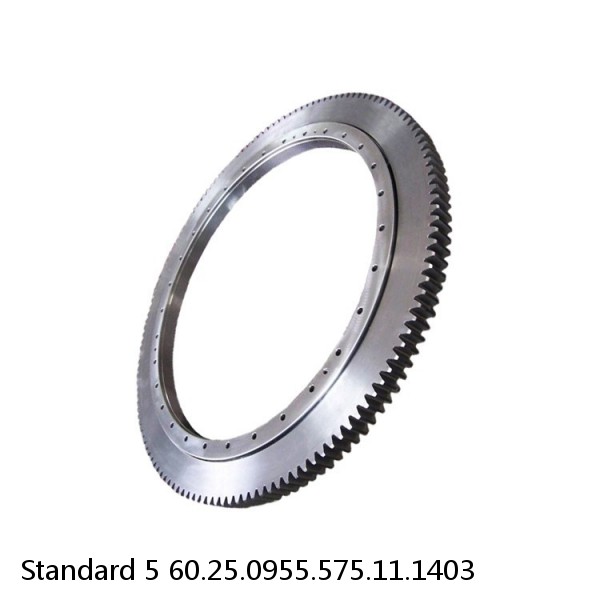 60.25.0955.575.11.1403 Standard 5 Slewing Ring Bearings