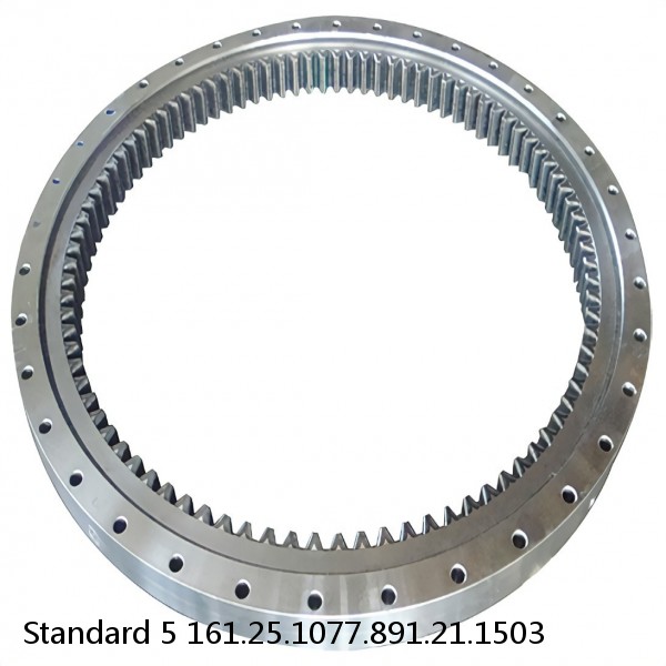 161.25.1077.891.21.1503 Standard 5 Slewing Ring Bearings