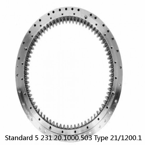 231.20.1000.503 Type 21/1200.1 Standard 5 Slewing Ring Bearings