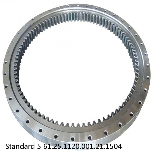 61.25.1120.001.21.1504 Standard 5 Slewing Ring Bearings