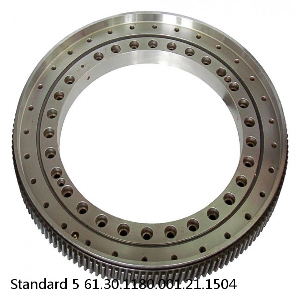 61.30.1180.001.21.1504 Standard 5 Slewing Ring Bearings