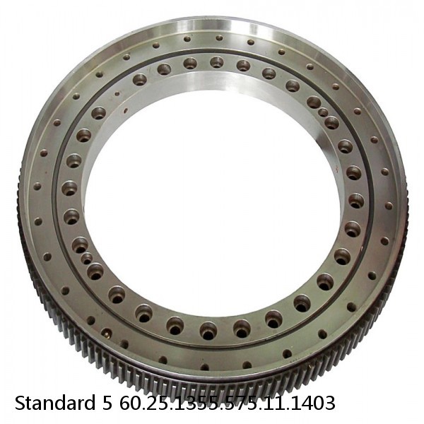 60.25.1355.575.11.1403 Standard 5 Slewing Ring Bearings