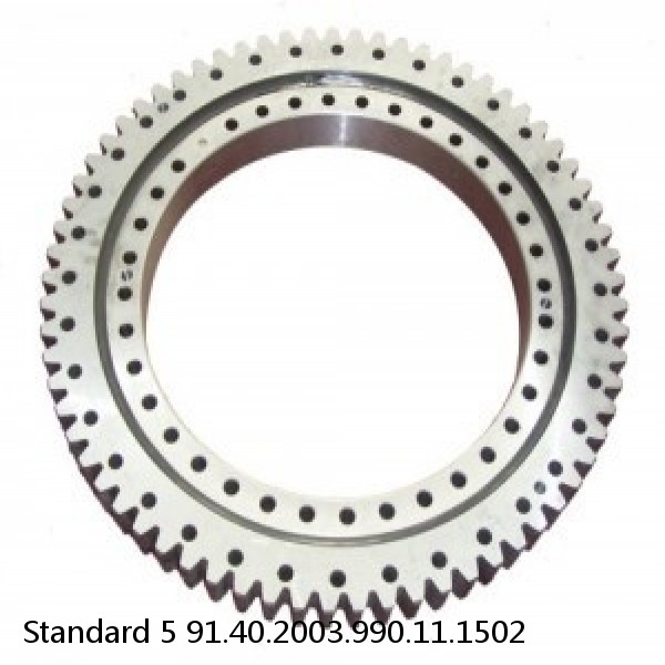 91.40.2003.990.11.1502 Standard 5 Slewing Ring Bearings