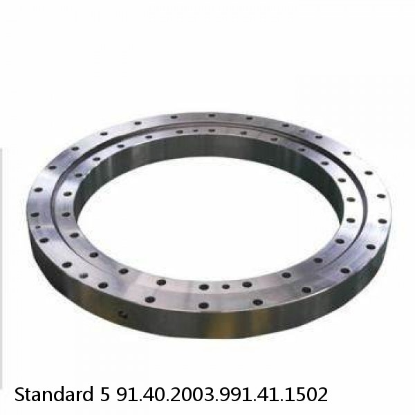 91.40.2003.991.41.1502 Standard 5 Slewing Ring Bearings