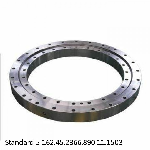 162.45.2366.890.11.1503 Standard 5 Slewing Ring Bearings