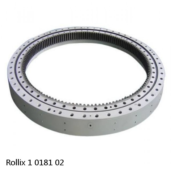 1 0181 02 Rollix Slewing Ring Bearings