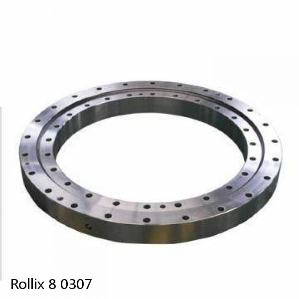 8 0307 Rollix Slewing Ring Bearings