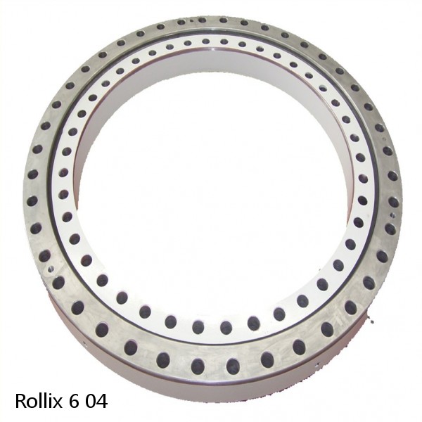 6 04 Rollix Slewing Ring Bearings