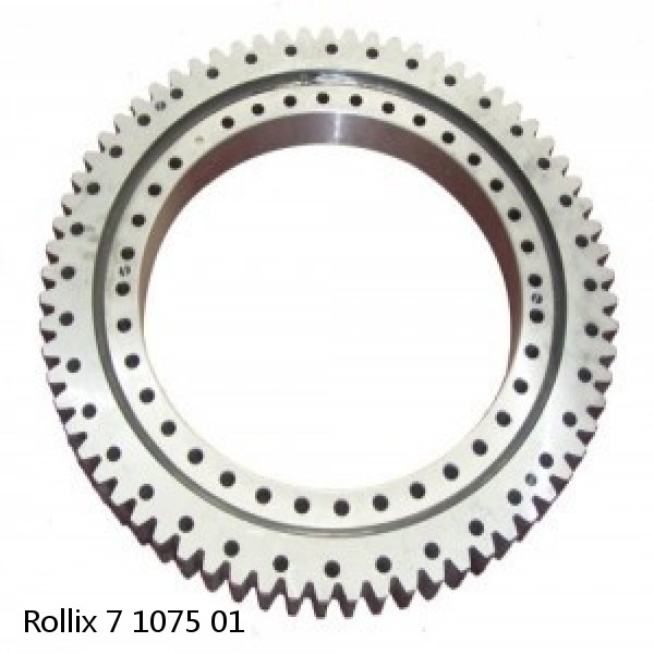 7 1075 01 Rollix Slewing Ring Bearings