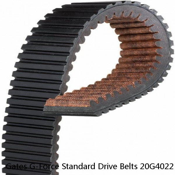 Gates G-Force Standard Drive Belts 20G4022 1142-0559 377314