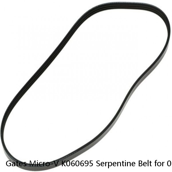 Gates Micro-V K060695 Serpentine Belt for 0119973692 037145833 037145933C mg