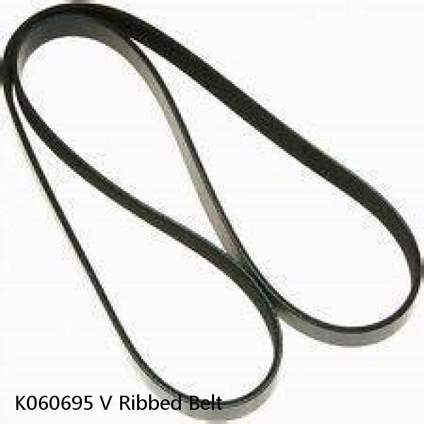 K060695 V Ribbed Belt