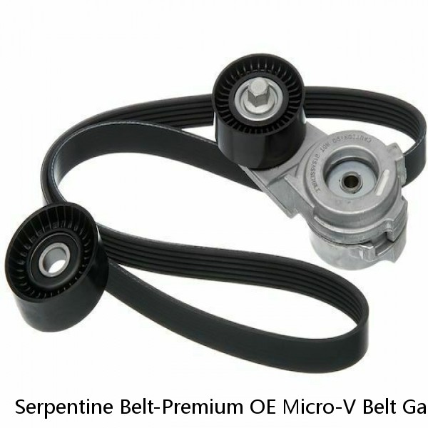Serpentine Belt-Premium OE Micro-V Belt Gates K060695